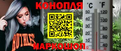 шишки Моздок