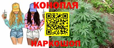 mdpv Можга